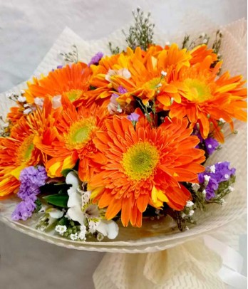 1 Dozen Orange Gerberas
