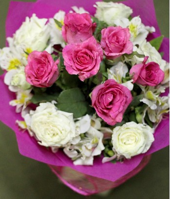 1 dozen pink and white roses
