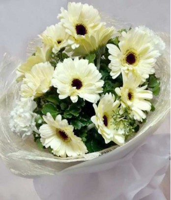 1 Dozen White Gerberas