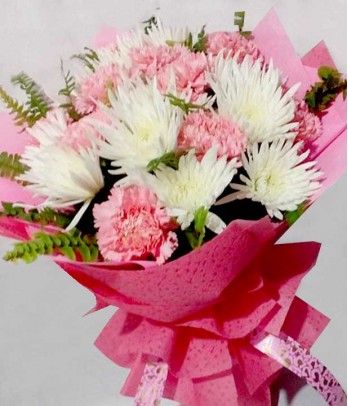 Captivating Carnation