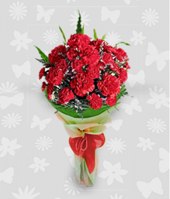 1 dozen of red carnations bouquet
