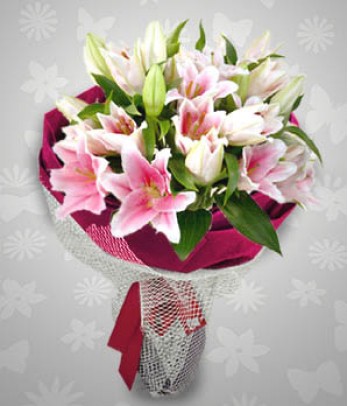 1 Dozen Stargazer Lilies