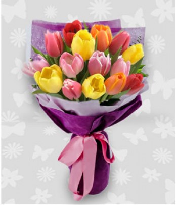 16 pcs. of Rainbow Mixed Tulips