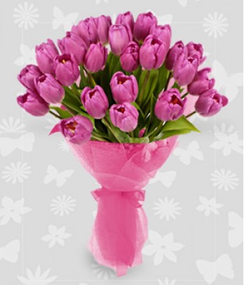 2 Dozen Fuchsia Pink Tulips