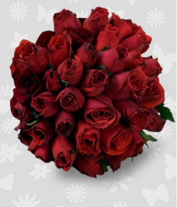 2 Dozen Red Ecuadorian Roses