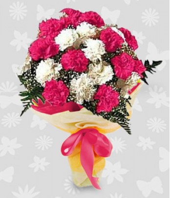 2 dozen pink and white carnations